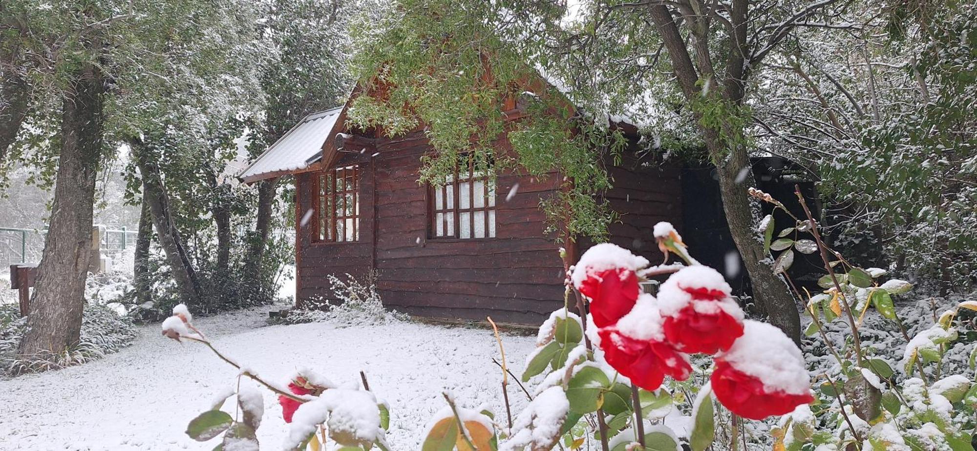 De Las Rosas Bariloche San Carlos de Bariloche Exterior foto